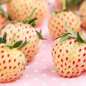 Ananas-Erdbeere